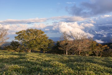 西日を浴びて輝く日出ヶ岳山頂の晩秋の情景＠奈良