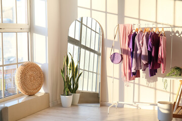 Rack with clothes, mirror and houseplant near light wall