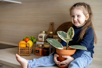 Toddler girl sits on the kitchen table sits and holds a clay pot with ficus in her hands.