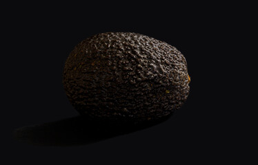 fine art avocado