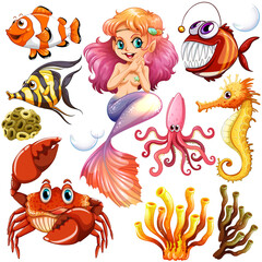 Different types of sea animals