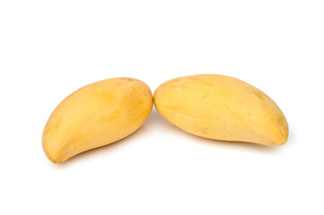 Mango Nam Dok Mai isolated on white background, a popular mango used to make Thai desserts called Thai Mango Sticky Rice