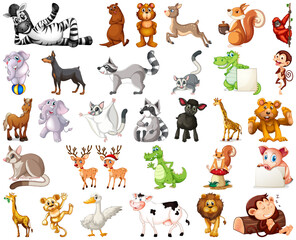 Fototapeta premium Set of animal cartoon character