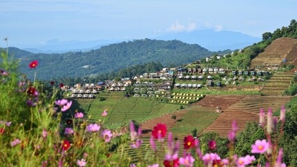 Beautiful panoramic view of Doi Mon Jam, Chiang Mai, Thailand. There are many homestays for tourists.