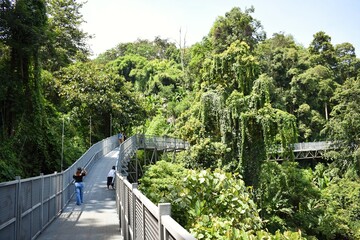 Canopy walkway located at the impressive Queen Sirikit Botanic Gardens in Chiang Mai, THAILAND.