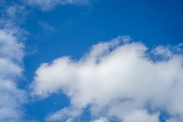 Obraz premium ドラゴンの形をした雲