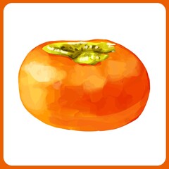 手描き水彩の柿イラスト