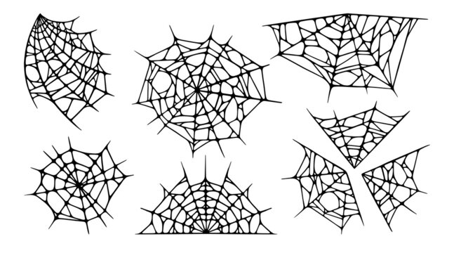 Spider web set isolated on white background. Spooky Halloween cobwebs. Handrawn vector illustration