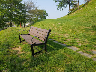 Fototapeta premium wooden bench in the park