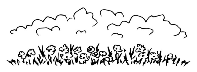 Hand-drawn simple vector black outline drawing. Border of wildflowers, chamomile, herbs on a white background. Clouds in the sky. Meadow plants, nature. Floral banner.