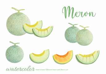 メロンの水彩画素材