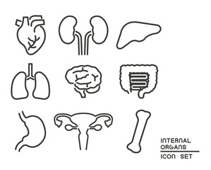 シンプルで使いやすい臓器内臓のベクターイラスト素材／心臓／ボディパーツ