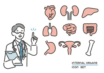 臓器内臓と説明をする医者のベクターイラスト素材／心臓／ボディパーツ