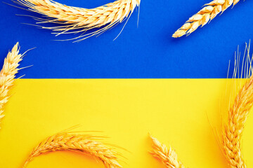 Yellow blue wheat grain background. Ukrainian symbol with wheat grain ear isolated on yellow blue...