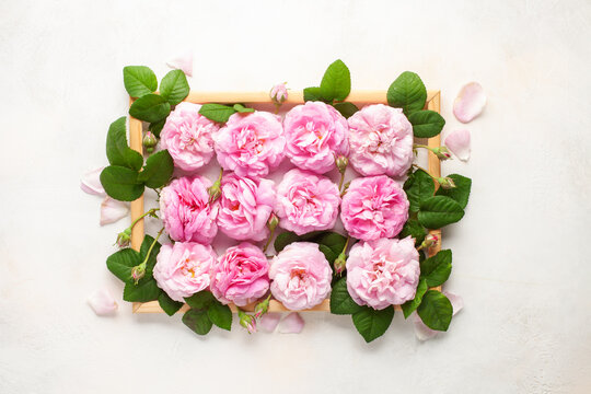 Pink peony and roses  Flowers in a frame on a bright background. Top view. Flat lay