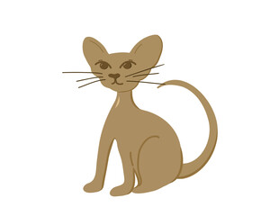 Cute cartoon Sphynx, hairless cat breed, sitting, isolated on white background. Vector illustration