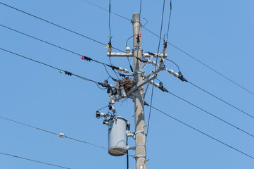 電信柱の上のカラスの巣