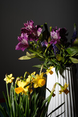 Yellow daffodils flower bouquet in bloom on a black background and purple flowers on a white bouquet