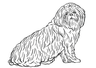 Furry/furry dog line art sketch 