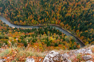 Pieniny National Park during autumn in Poland, Mountains Sokolica and forest