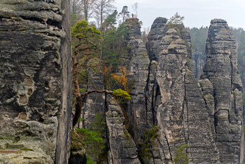 Fototapeta na wymiar Czech Saxony. Rocks, landscape, trees, view, autumn, nature.
