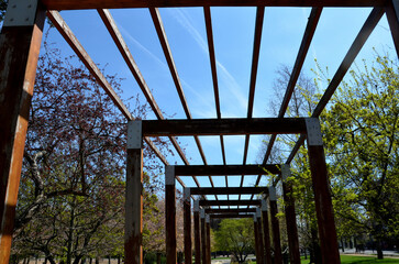 wooden pergola or trellises for climbing plants over the promenade with benches. the wooden mass...