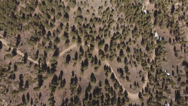 Dixie National Forest with Powell Point in distance. Grand Staircase Escalante National Monument, Utah