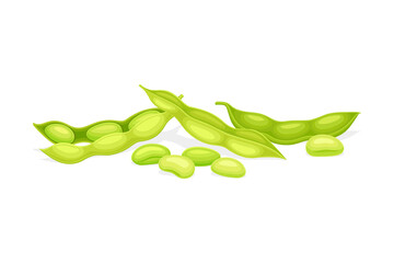 Soybean in Green Pod as Edible Seed of Legume Plant Vector Illustration