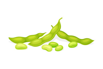 Soybean in Green Pod as Edible Seed of Legume Plant Vector Illustration