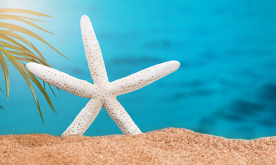 Fototapeta na wymiar White starfish on beach sand with palm branch, sea behind. Sunny day. The concept of vacation, sea, travel. Copy space