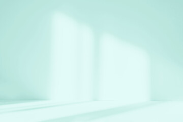 Abstract green color studio background for product presentation. Empty room with shadows of window. Display product with blurred backdrop.