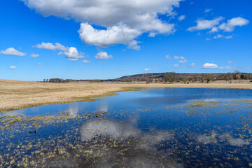 nature reserve lake hornborgasjoen in sweden