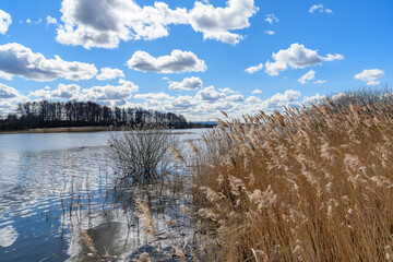 nature reserve lake hornborgasjoen in sweden