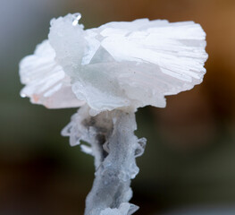 .mineral specimen stone rock geology gem crystal