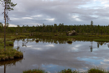 Fototapeta premium Inari Natur