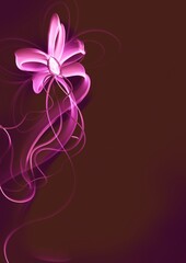 Pink present bow abstract background