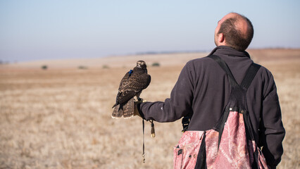 A young falconry hunter with his falcon in his hand. - obrazy, fototapety, plakaty