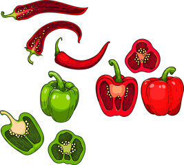 Sweet Paprika pepper, Chili pepper. Whole and halved green and red  bell pepper ,  hand drawn illustration.