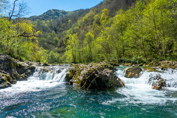 The Sella river between the Tornin to the Olla de San Vicente, near Cangas de Onis. Asturias. Spain