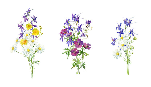 Three bouquets of bright wildflowers