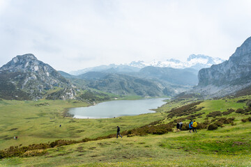 Fototapeta na wymiar View from the Entrelagos viewpoint of Lake Ercina in the Lakes of Covadonga. Asturias. Spain