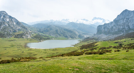 Naklejka premium View from the Entrelagos viewpoint of Lake Ercina in the Lakes of Covadonga. Asturias. Spain