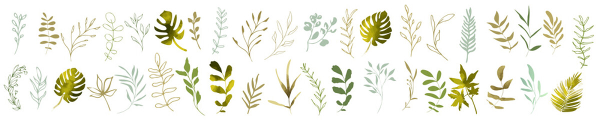 Hand drawn colorful plant set modern and universally usable. Flower branch and minimalistic plants. Hand drawn lines, elegant leaves for your own design. Botanical, chic and trendy plants. 