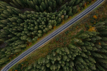 Aerial view of beautiful forest and road on autumn day