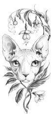 Sphinx cat illustration with fuchsia flowers and citrus blossom made in graphic tattoo art nouveau style. Vertical design of illustration in pencil sketch technic.