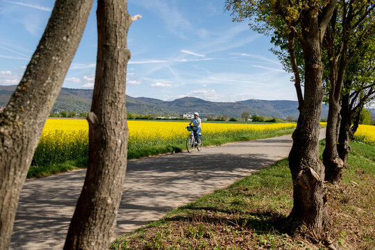 Frau auf Elektro Fahrrad fährt im Frühling durch blühende Rabsfelder.
