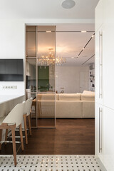 kitchen with glass partition, modern kitchen interior, luxury penthouse