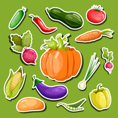 Stickers collection of fresh and tasty vegetables in flat style. Stickers set of ripe vegetables. Healthy food.