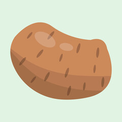 Potato. Flat design vector illustration of potato on green background