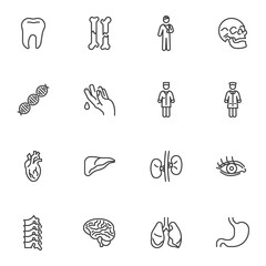 Human health line icons set